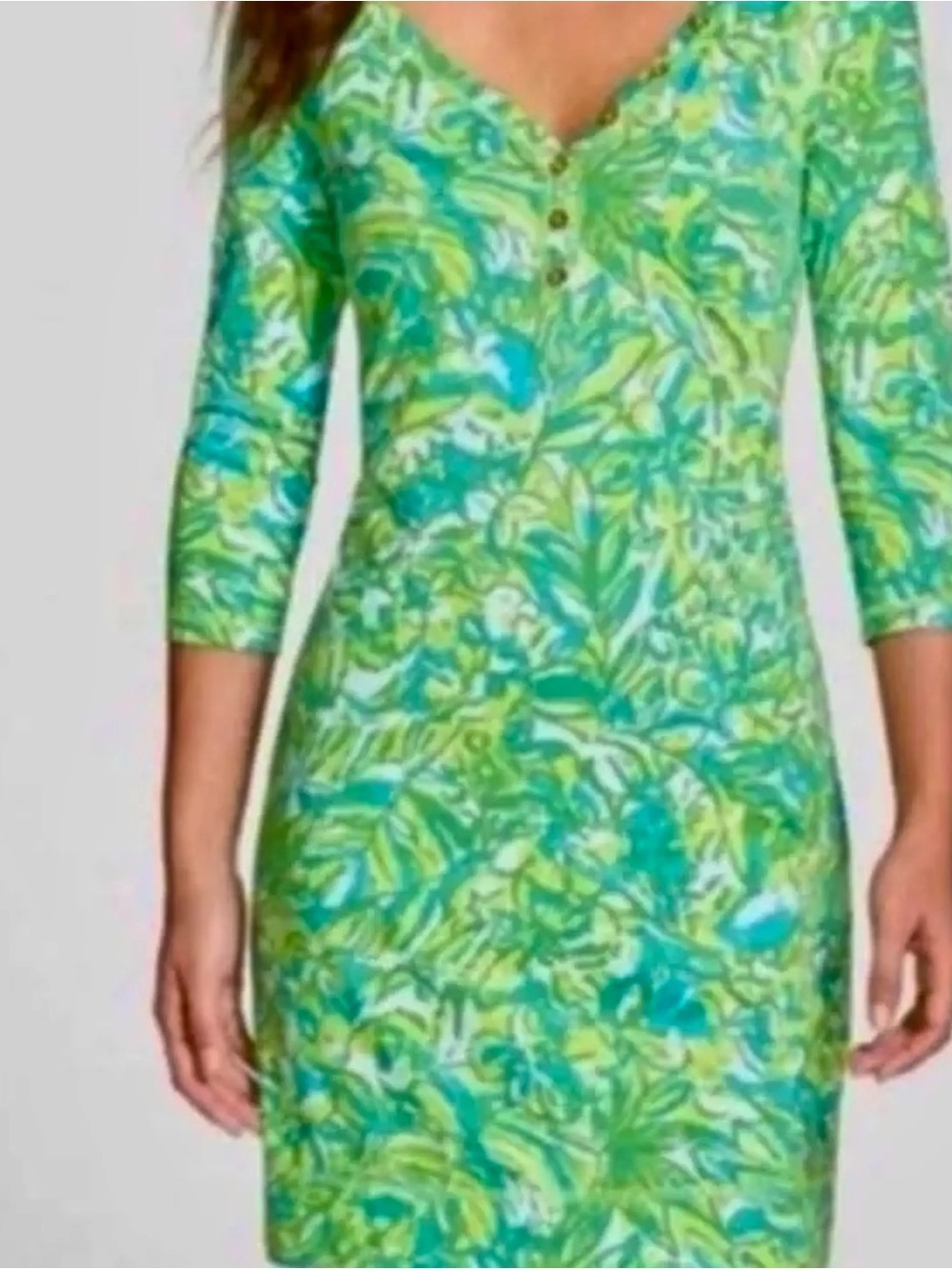 Lilly Pulitzer Green and Blue Parrot Palmetto Dress Xs